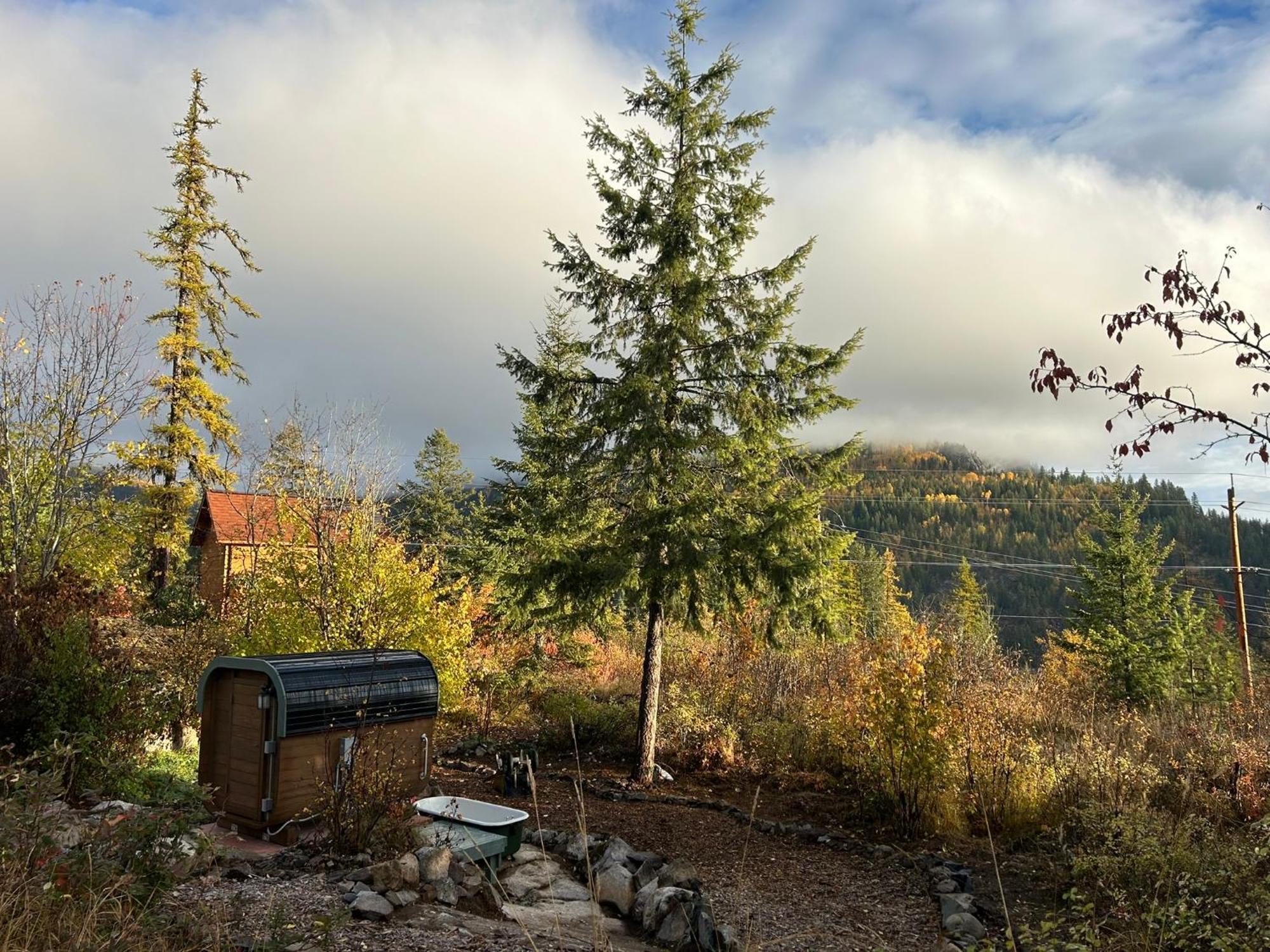Morning Star Log Cabin&Bunkieland Nelson Zimmer foto